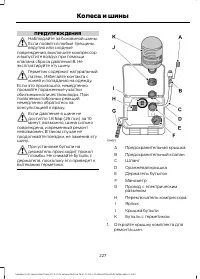 Страница 229