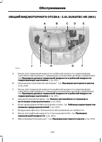 Страница 251