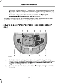 Страница 252