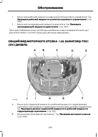 Страница 255