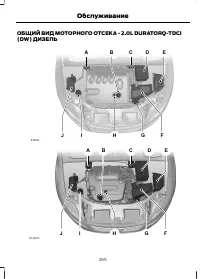 Страница 257