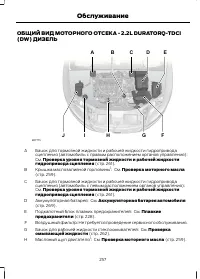 Страница 259