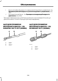 Страница 260