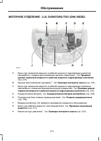 Страница 215