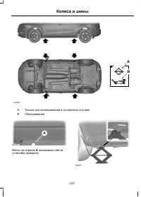 Страница 229