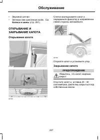 Страница 229