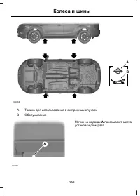Страница 255
