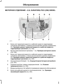 Страница 237