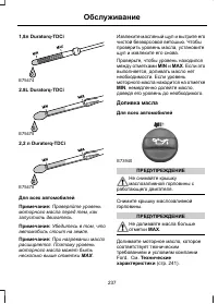 Страница 239