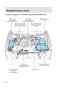 Страница 203