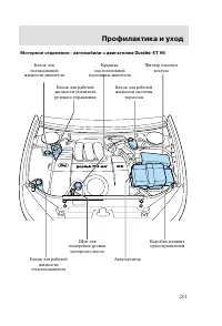 Страница 204