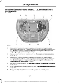 Страница 277