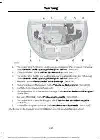 Страница 255