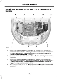 Страница 273