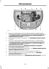 Страница 281