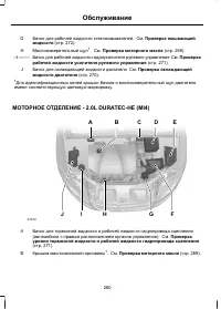 Страница 262