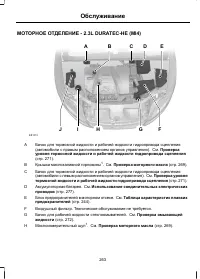 Страница 265