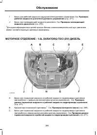 Страница 266