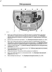 Страница 268