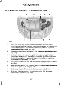 Страница 249