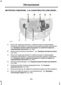 Страница 255