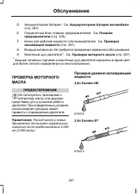 Страница 259
