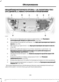 Страница 191