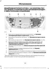 Страница 191