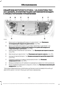 Страница 192