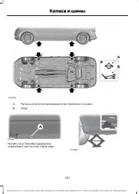 Страница 224
