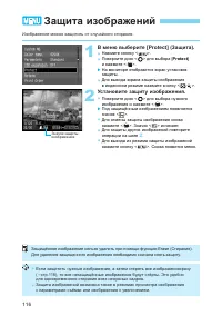 Страница 116