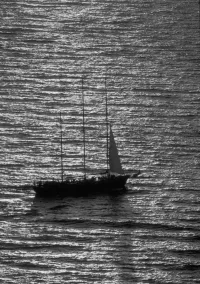 Страница 120