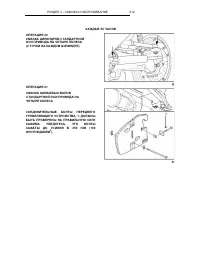 Страница 215