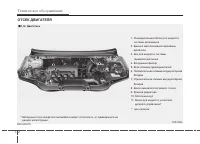 Страница 329