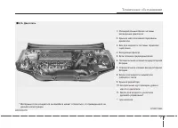 Страница 330