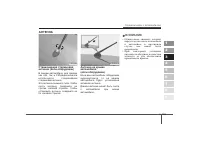 Страница 119