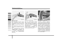 Страница 206