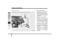 Страница 271