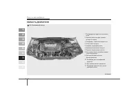 Страница 305