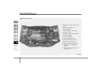 Страница 307