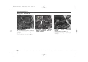 Страница 391