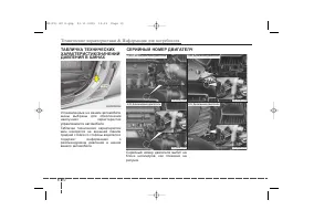Страница 456