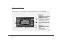 Страница 224