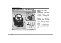 Страница 245