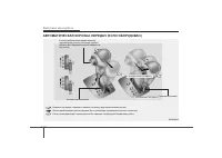 Страница 247