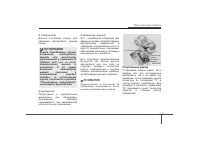 Страница 250