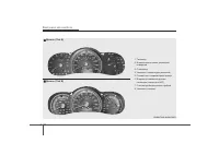 Страница 275