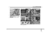 Страница 383