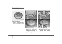 Страница 417