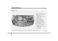 Страница 436